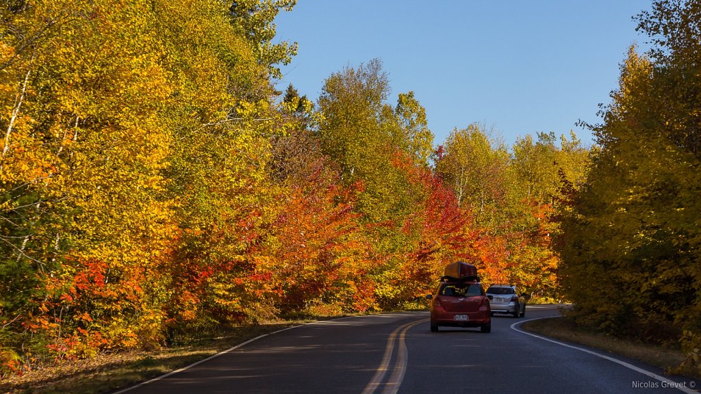 Driving Through Fall 3