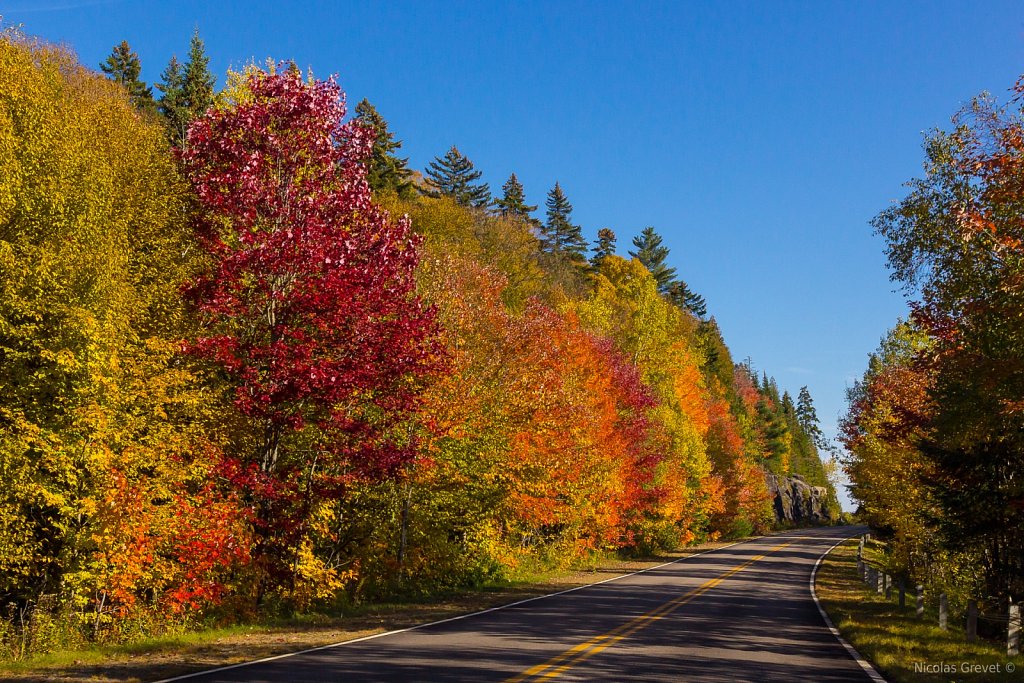 Autumn Gradient