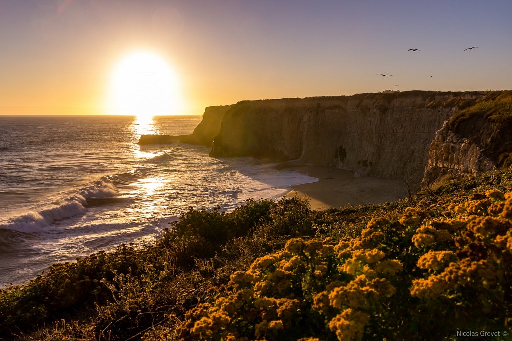 Coast Dairies State Park