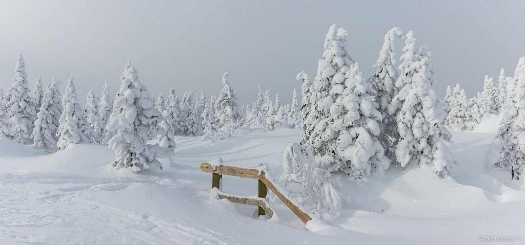 Vallée des Fantômes