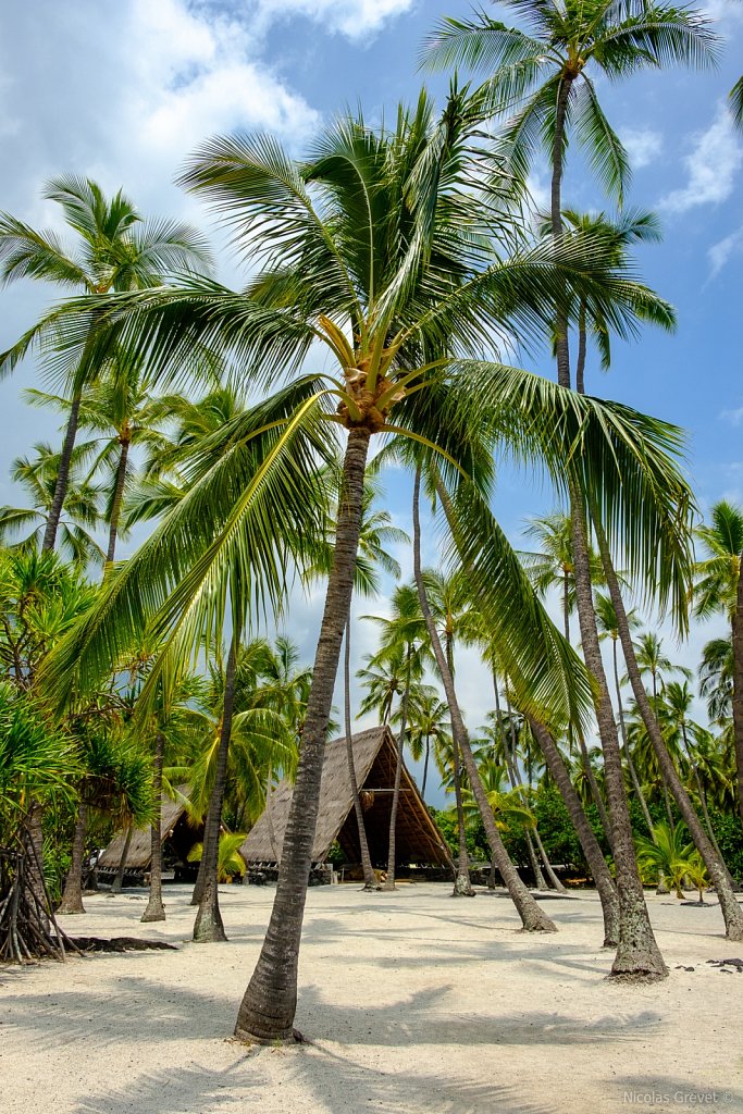 Beach Hut