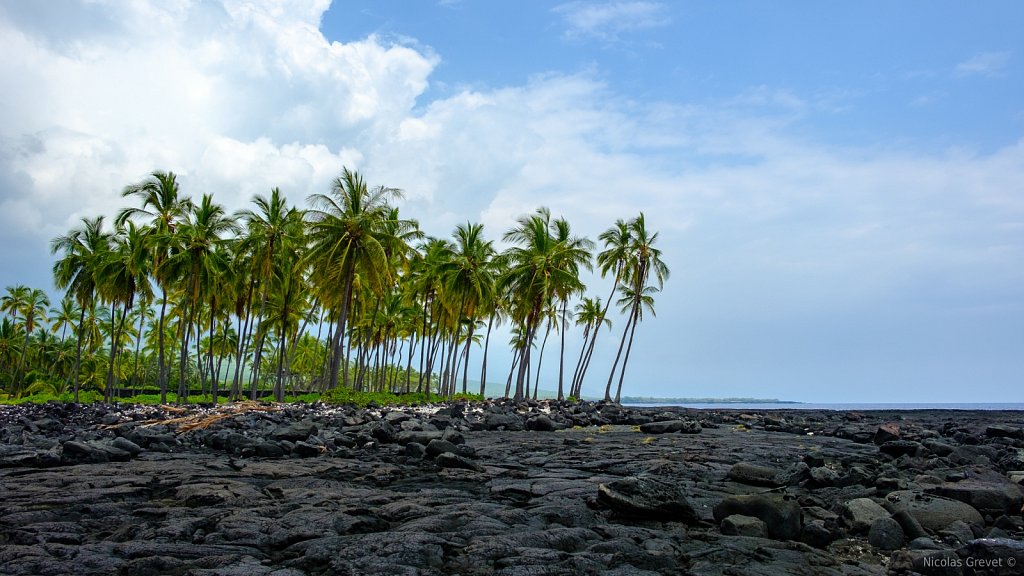 Puʻuhonua