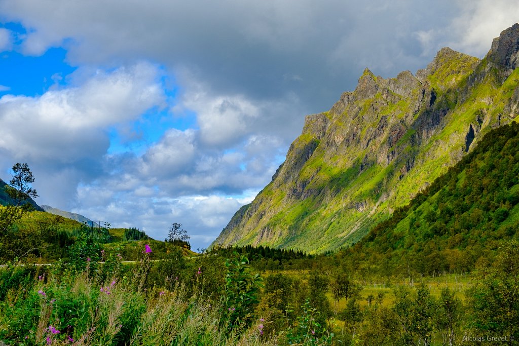 Green Vesterålen Valley