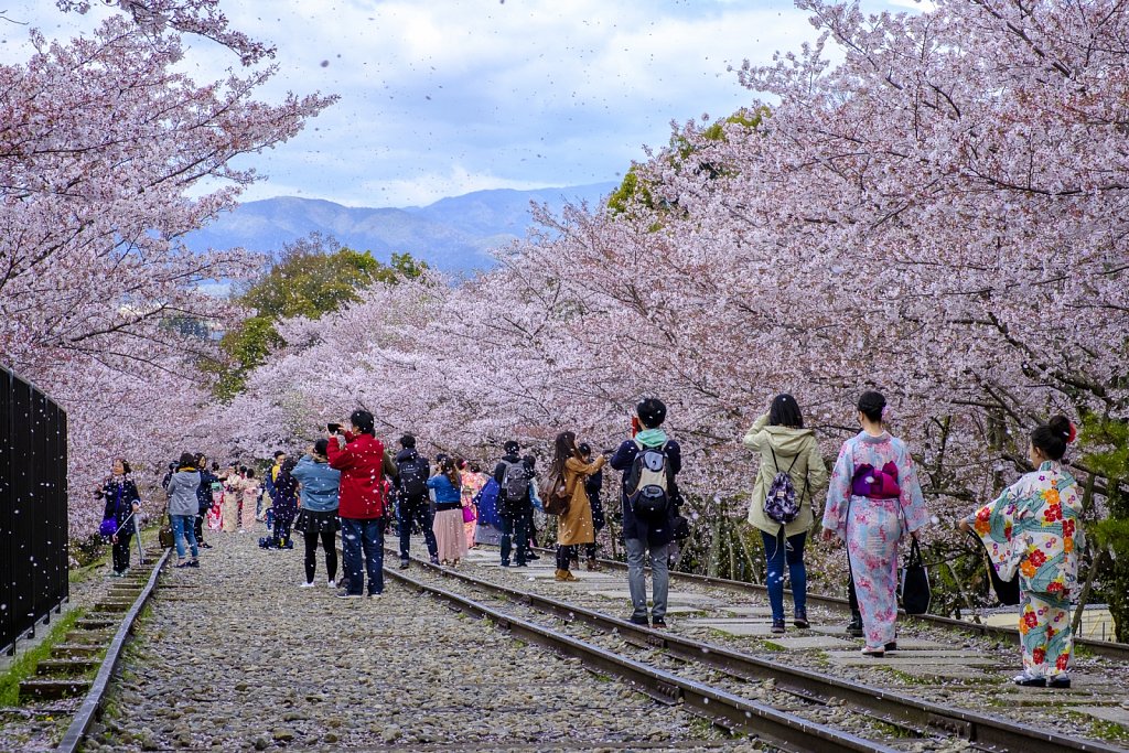 2019-japan-092.jpg