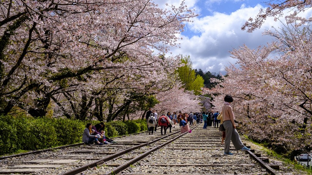 2019-japan-093.jpg